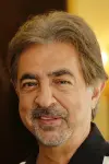 Photo Joe Mantegna #23280