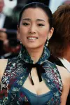 Photo Gong Li #40058