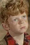 Photo Johnny Whitaker #320392