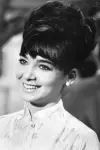 Photo Suzanne Pleshette #36944