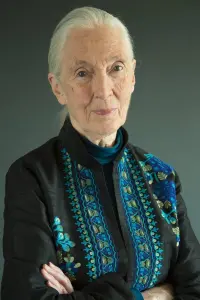 Photo Jane Goodall