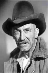 Photo Andy Clyde