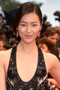 Photo Liu Wen