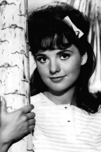 Photo Dawn Wells