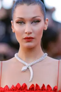 Photo Bella Hadid