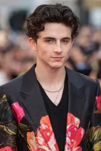 Photo Timothée Chalamet