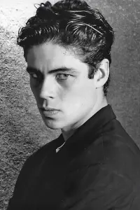 Photo Benicio del Toro