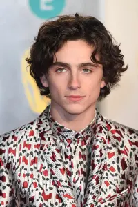 Photo Timothée Chalamet