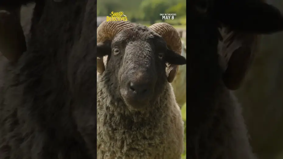 Watch film The Sheep Detectives | Skills TV Spot
