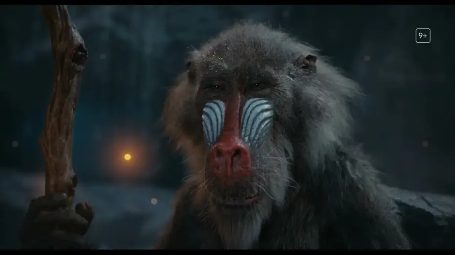 Watch film Mufasa: The Lion King | Anuncio: 'Es la hora de contarte una historia'