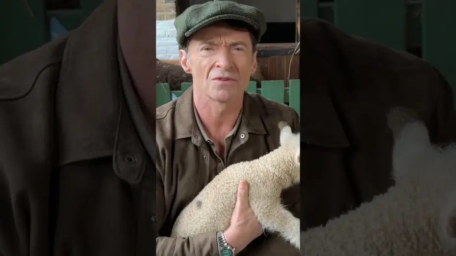 Watch film The Sheep Detectives | Hip was robbed