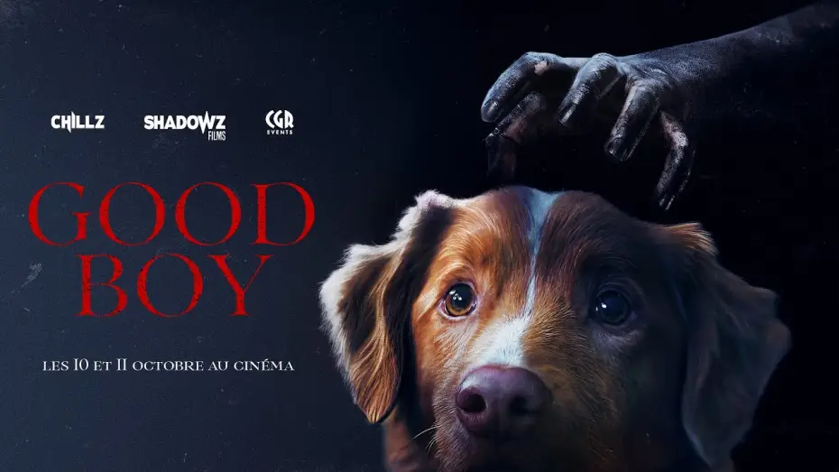 Watch film Good Boy | GOOD BOY - trailer VOSTFR