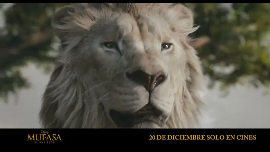 Watch film Mufasa: The Lion King | Anuncio: 'Mufasa y Scar'
