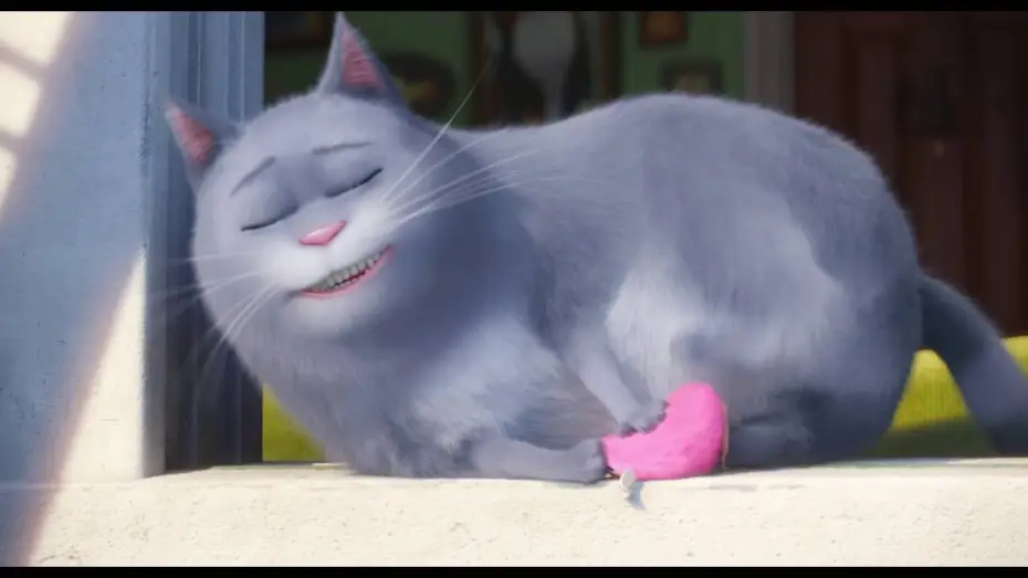 Watch film The Secret Life of Pets | Comme Des B&ecirc;tes / Extrait "Max est m&eacute;content" VF [Au cin&eacute;ma le 27 juillet]