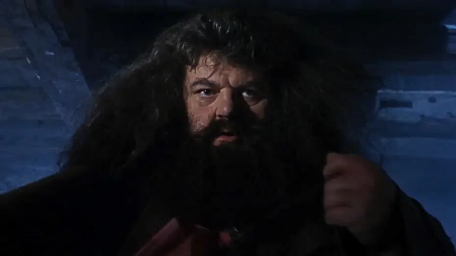 Watch film Harry Potter and the Philosopher's Stone | A visit from Rubeus Hagrid | Harry Potter and the Philosopher's Stone