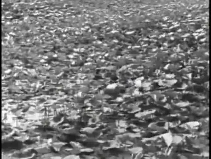 Watch film Pather Panchali | Pather Panchali  the rain scene