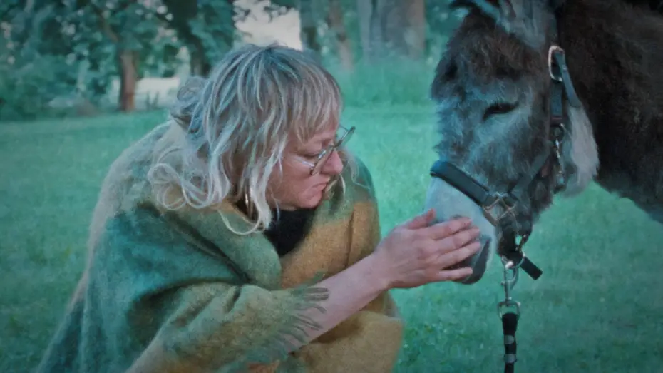 Watch film Donkey Days | Donkey Days | Trailer | New Directors/New Films 2026
