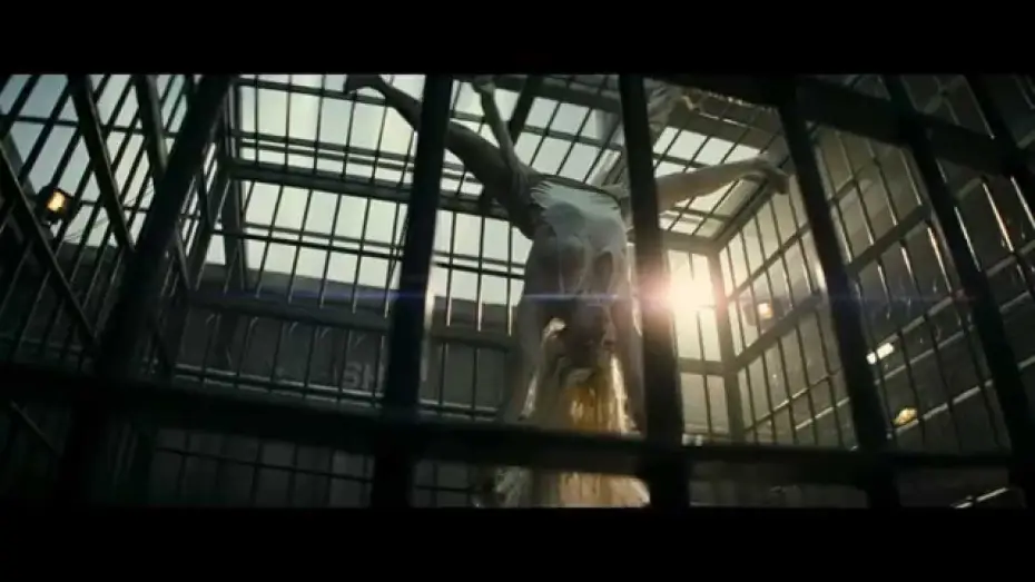 Watch film Suicide Squad | Escuadr&oacute;n Suicida - Trailer Oficial Comic-con espa&ntilde;ol HD