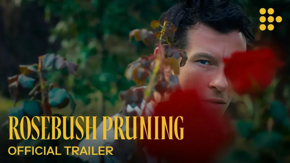 Watch film Rosebush Pruning | Official Trailer
