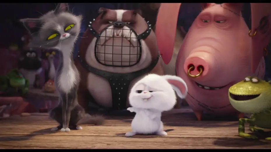 Watch film The Secret Life of Pets | Comme Des B&ecirc;tes / Extrait "L'incident de Pompon" VF [Au cin&eacute;ma le 27 juillet]