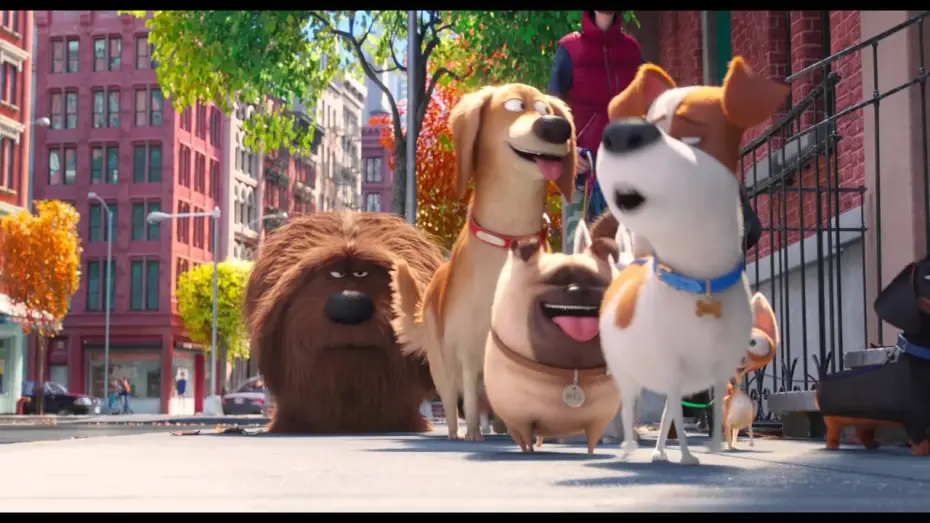 Watch film The Secret Life of Pets | PETS - VITA DA ANIMALI - Terzo trailer italiano ufficiale