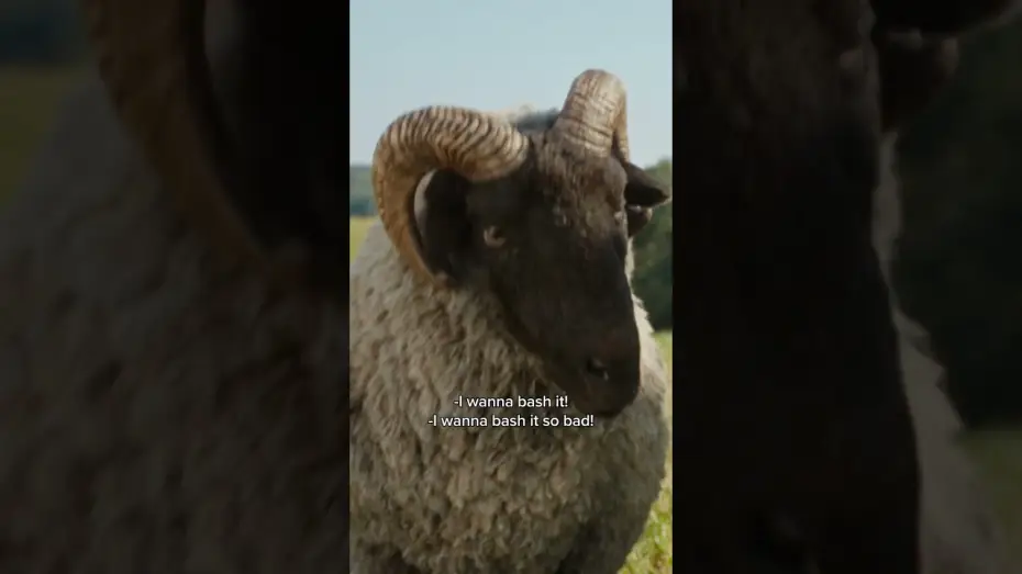 Watch film The Sheep Detectives | Sheep can do anything...