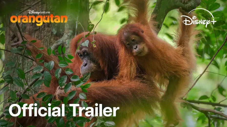 Watch film Orangutan | Stream On Disney+ April 22