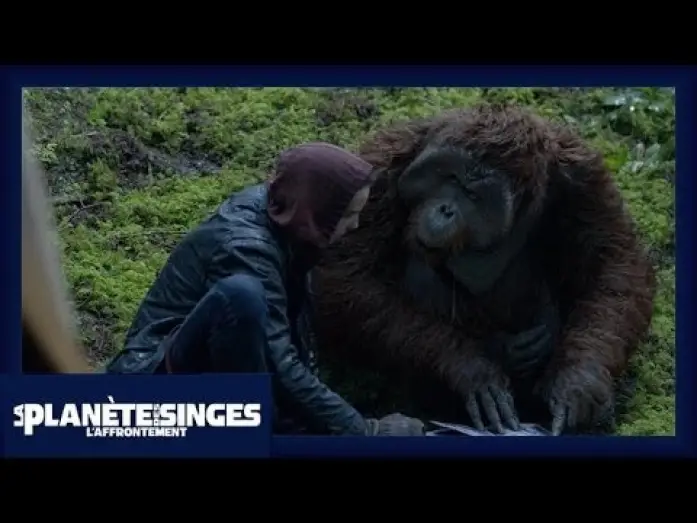 Watch film Dawn of the Planet of the Apes | La Plan&egrave;te des Singes : L'Affrontement - Extrait Le Livre [Officiel] VF HD