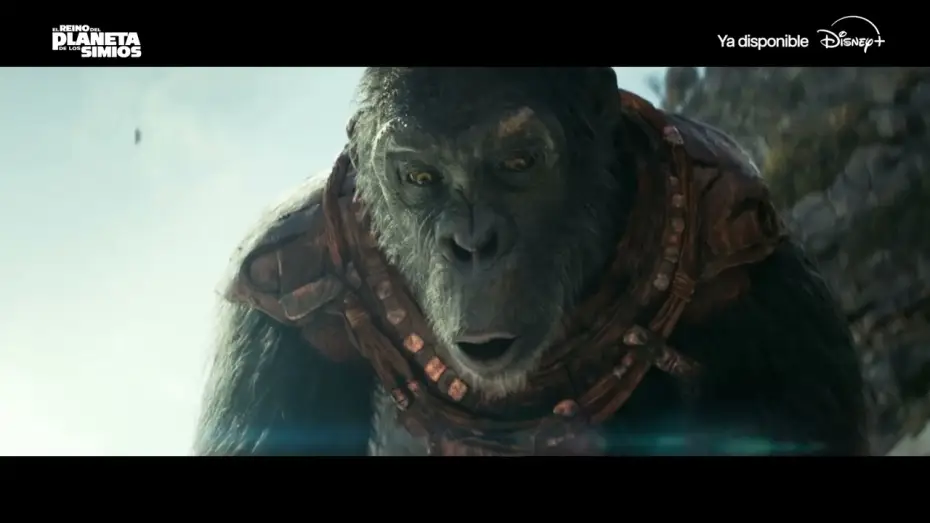 Watch film Kingdom of the Planet of the Apes | Disfr&uacute;tala YA en Disney+