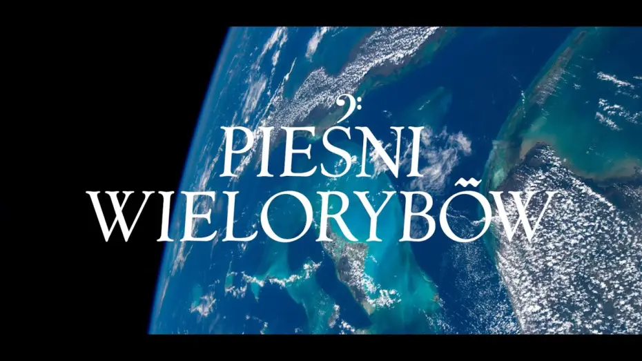 Watch film Whale Nation | PIEŚNI WIELORYB&Oacute;W I zwiastun