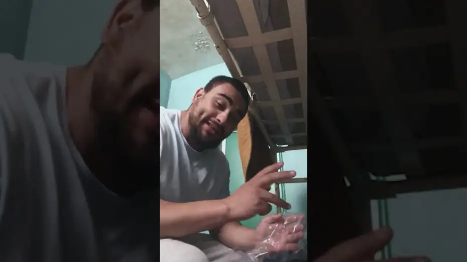 Watch film Wasteman | the album tour continues.