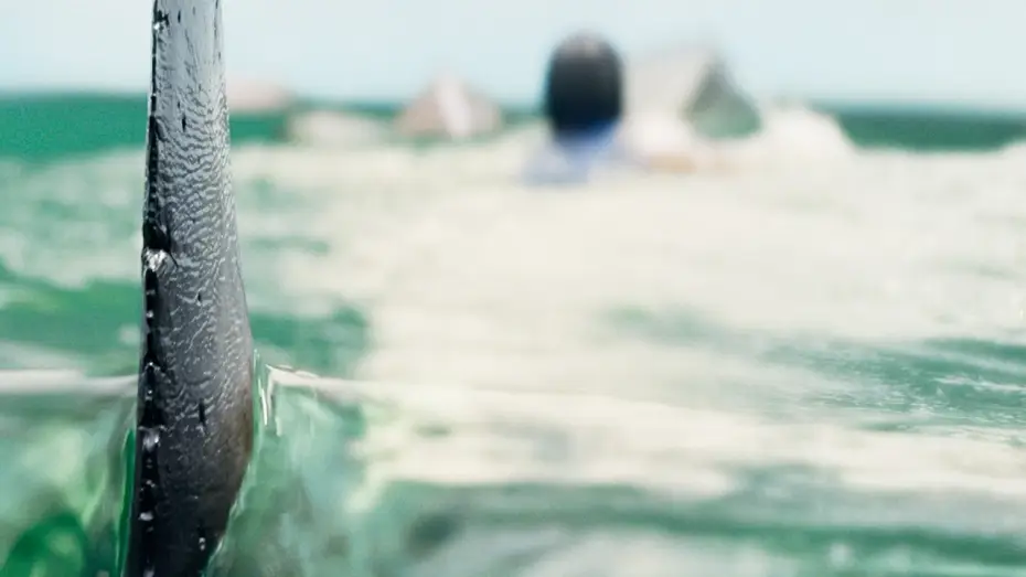 Watch film Deep Water | Teaser Trailer