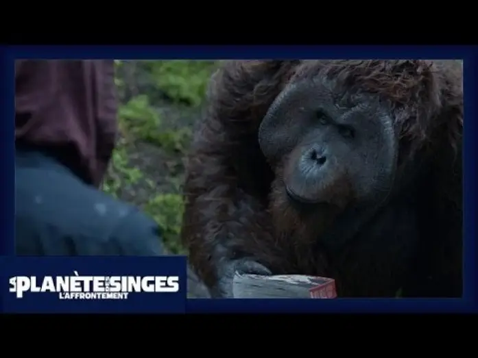 Watch film Dawn of the Planet of the Apes | La Plan&egrave;te des Singes : L'Affrontement - Extrait Le Livre [Officiel] VOST HD