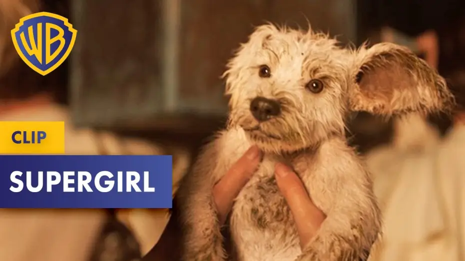 Watch film Supergirl | SUPERGIRL &ndash; &bdquo;Krypto&rdquo; Clip Deutsch German (2026)