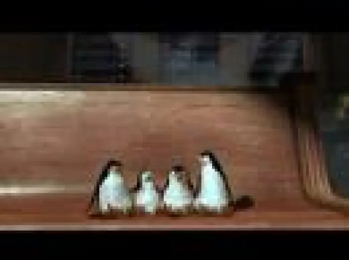 Watch film Madagascar | Madagascar Trailer