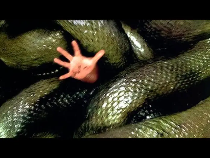 Watch film Anacondas: The Hunt for the Blood Orchid | ANACONDAS: La Cacer&iacute;a Por La Orqu&iacute;dea Sangrienta (Trailer espa&ntilde;ol)