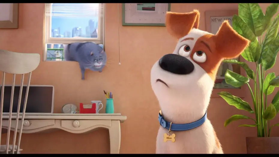 Watch film The Secret Life of Pets | Comme des b&ecirc;tes / "Les amoureux des chats" VF [Au cin&eacute;ma le 27 Juillet]