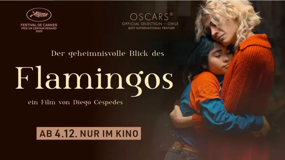 Watch film The Mysterious Gaze of the Flamingo | DER GEHEIMNISVOLLE BLICK DES FLAMINGOS | Trailer | ab 4.12 2026 im Kino