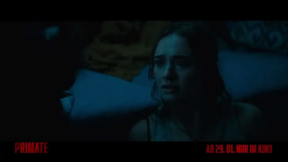 Watch film Primate | PRIMATE | Nature 15 | Kinostart: ab 29.1.