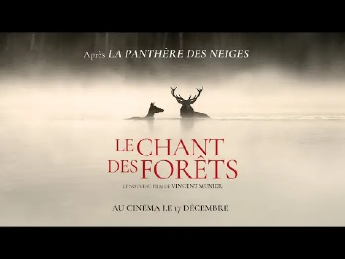 Watch film Whispers in the Woods | LE CHANT DES FOR&Ecirc;TS - Bande-annonce
