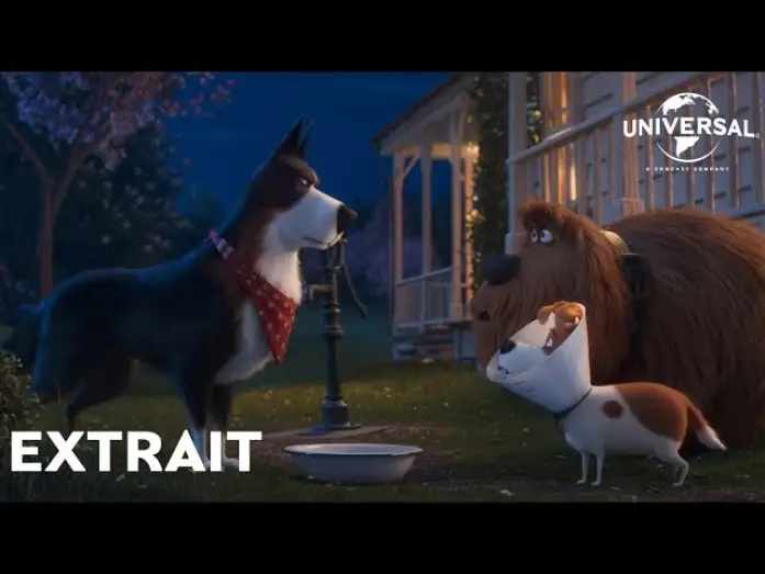 Watch film The Secret Life of Pets 2 | Comme des B&ecirc;tes 2 - Extrait : "Rico donne des conseils" VF