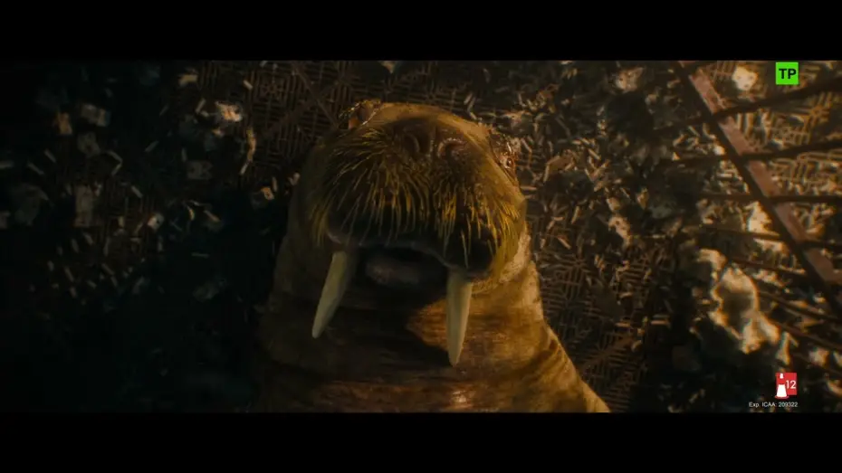 Watch film Guardians of the Galaxy Vol. 3 | Escena: 'Amigos'