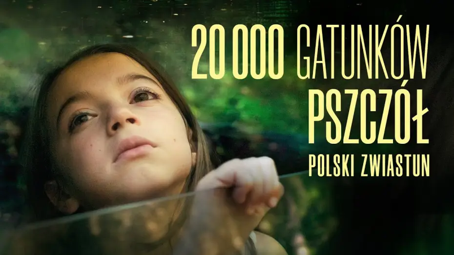Watch film 20,000 Species of Bees | Zwiastun PL
