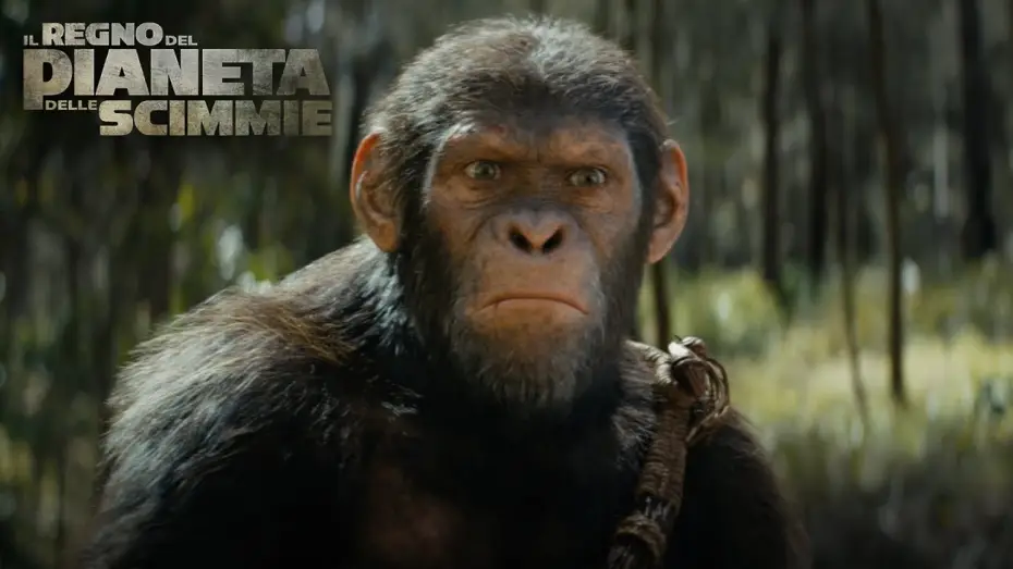 Watch film Kingdom of the Planet of the Apes | Il Regno del Pianeta delle Scimmie | IMAX Trailer | Dall&rsquo;8 Maggio al Cinema
