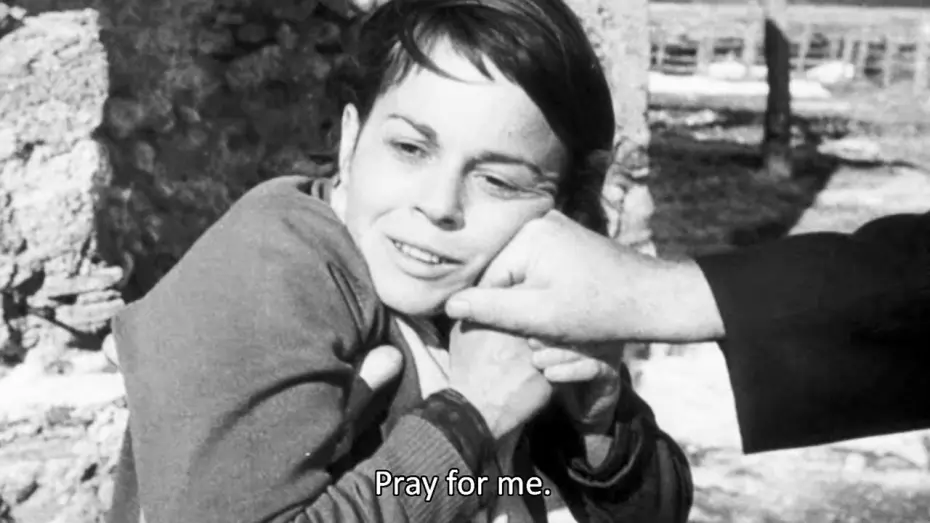 Watch film The Swindle | Il Bidone (1955) ORIGINAL TRAILER