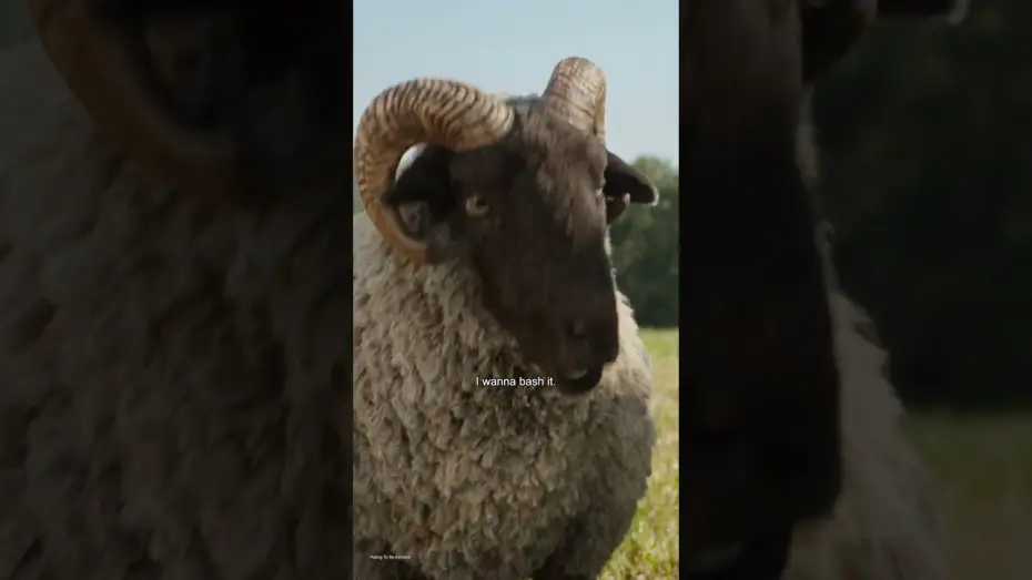 Watch film The Sheep Detectives | One Month Countdown