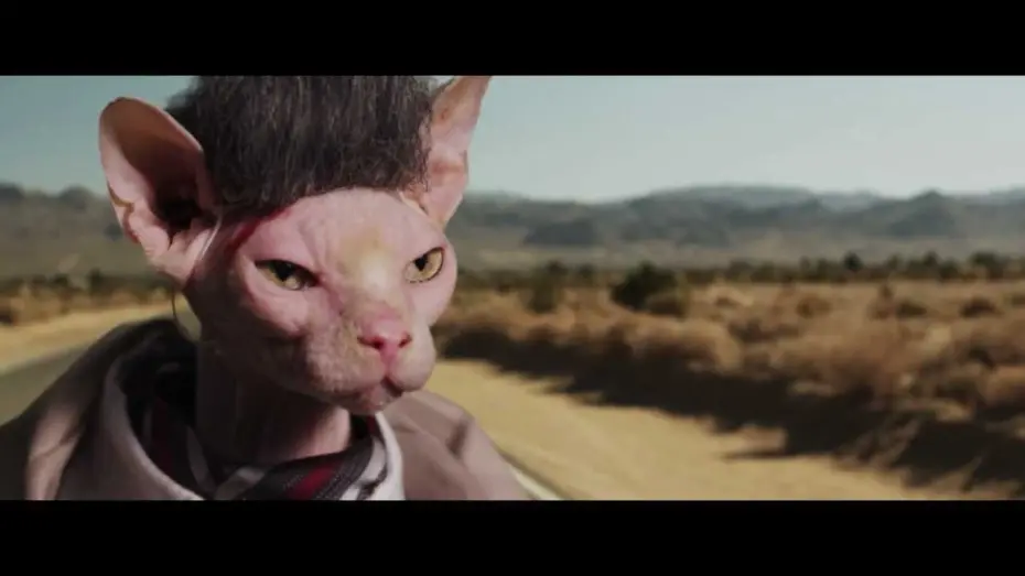 Watch film Seven Psychopaths | Seven PsychoCATS Trailer HD [Uncensored / NSFW]