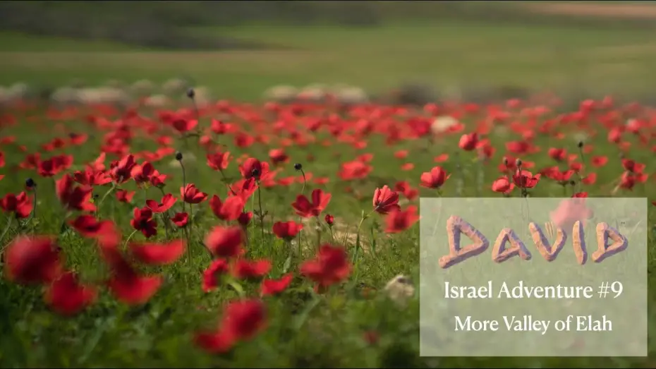 Watch film David | David | Israel Adventure | Back to The Valley of Elah
