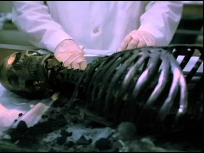 Watch film The Crew | Trailer