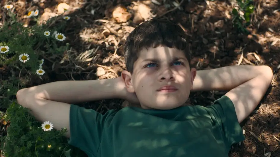 Watch film The Sea | THE SEA | Trailer ITA